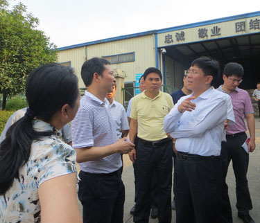 湖南省委副書(shū)記孫金龍視察桃花江竹材